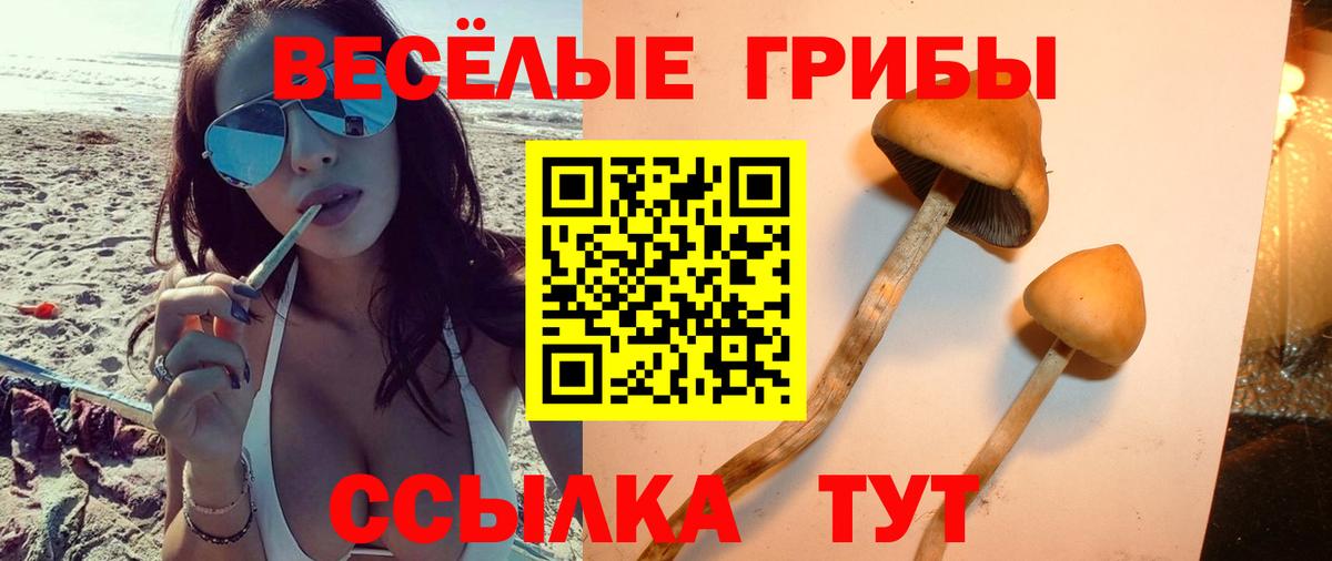 Нефтеюганск  Псилоцибиновые грибы прущие грибы  закладка  Вход с VPN 